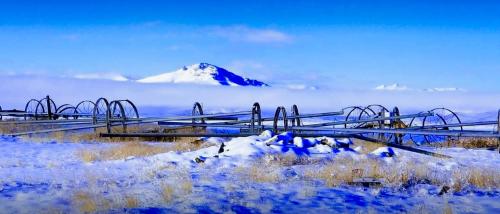 292A664C-1418-467C-BE4A-B936ACD394D6