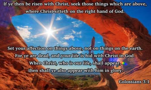 d4e9f589-232f-4a2e-af73-9e1fa537b5b4