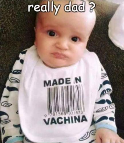 made in vachina