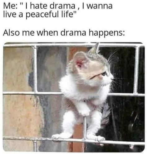 280765226_10225277153968865_6577423839205208120_n