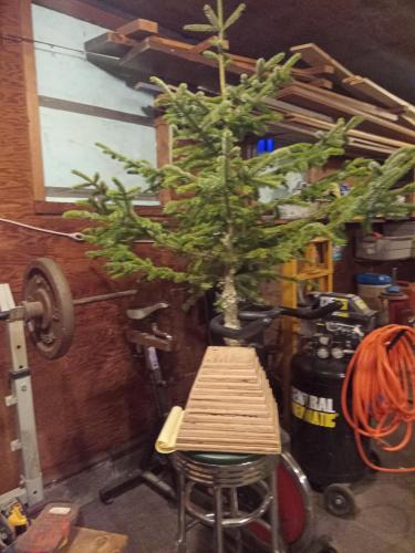 IMG_20221205_192047_390