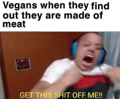FB_IMG_1671414266963