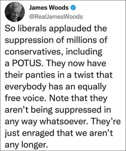 freedom of speech19