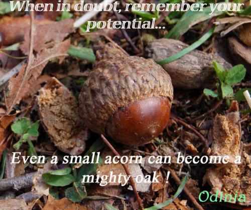 cropped-1-a-headddwwww