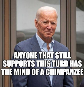 biden1132