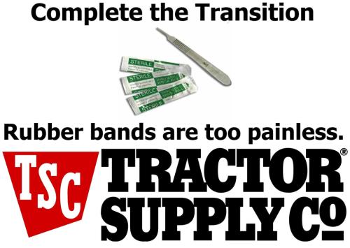 Transgender Transition Kit 960px