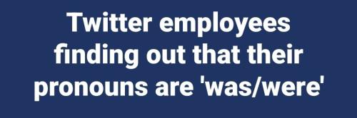 twitter pronouns 1050px