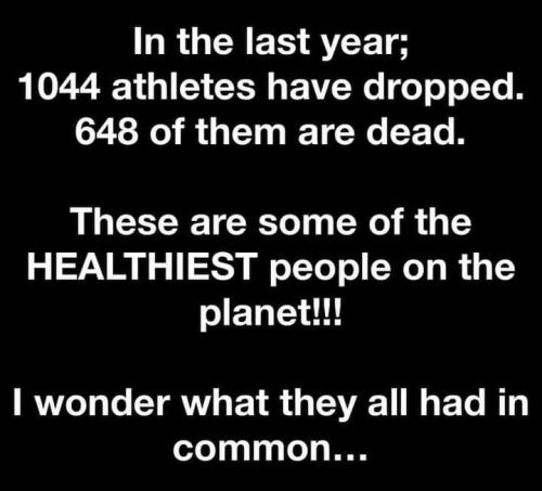 FB_IMG_1669866522665