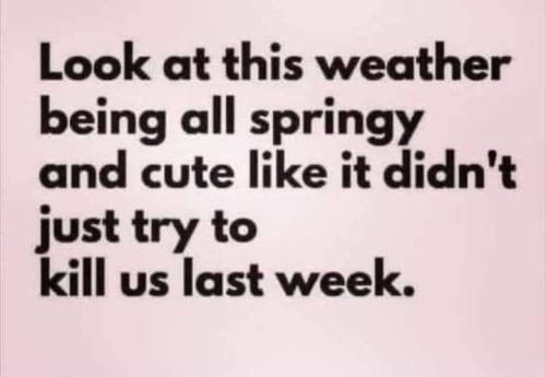 FB_IMG_1672271633247