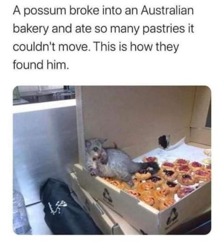 FB_IMG_1671737704726