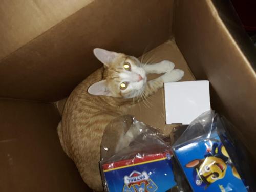 75da76ff-50ff-443e-9b5a-9df557898a2b