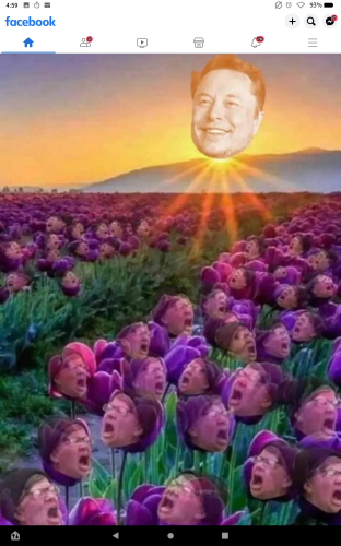 Screenshot_20221204-165946