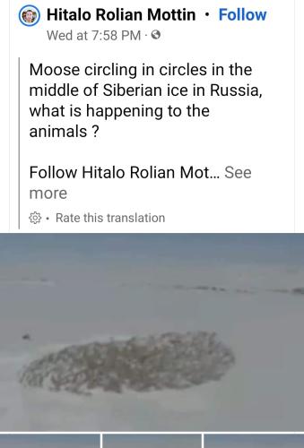 09:07:13 GMT-0500 (EST)