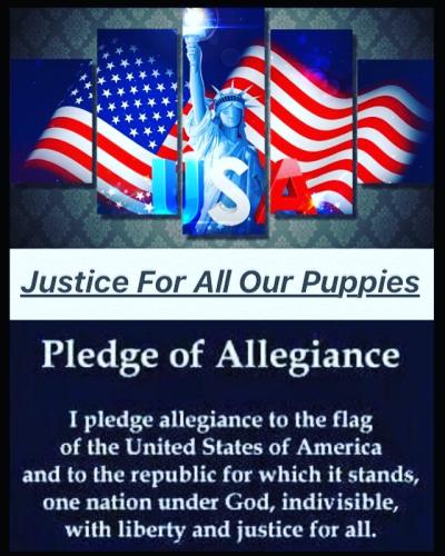 pledge to flag 76