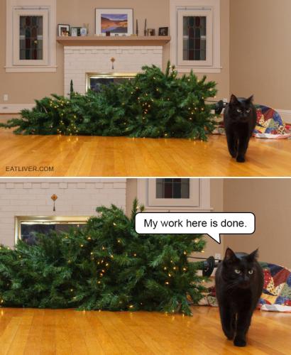 cats-vs-christmas-trees1