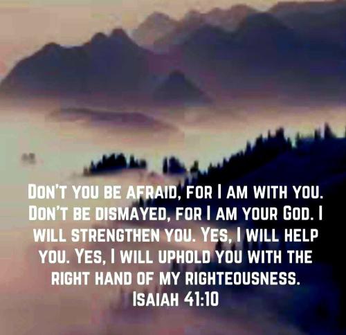 IMG_20221223_141949_056