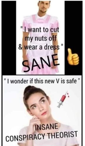FB_IMG_1671321949909
