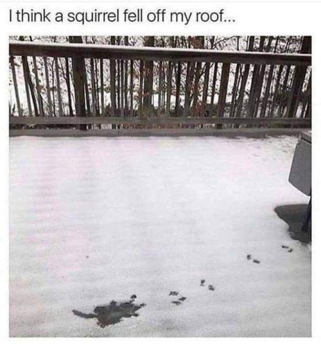 FB_IMG_1670436352601