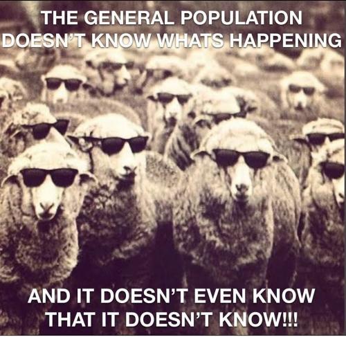 Screenshot_2022-12-16-01-03-14-16_1c337646f29875672b5a61192b9010f9