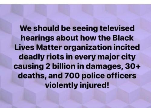 FB_IMG_1669858843656