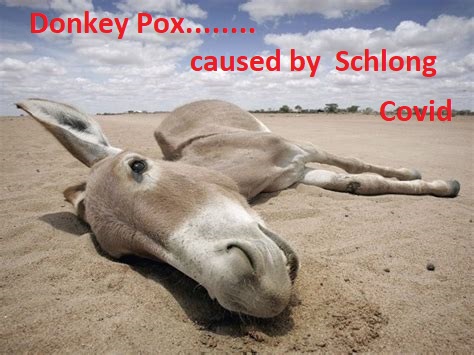 donkeypox