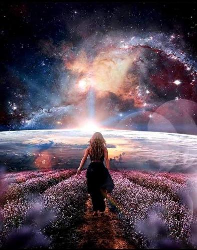 ,                                                                                                                                                                                                                          0 2