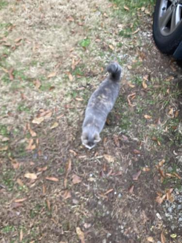 13:07:09 GMT-0500 (Eastern Standard Time).image