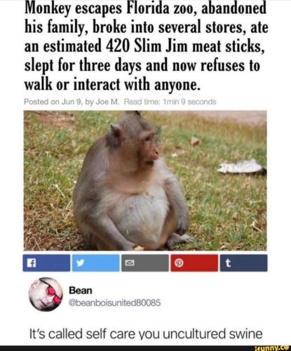 52db52d1-534f-4d35-b668-f488e3f38cbe