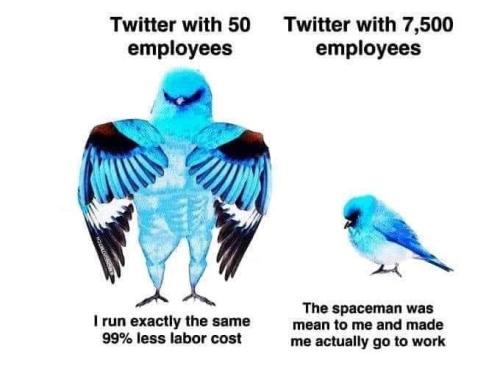 FB_IMG_1670955437471