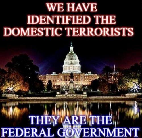 Domestic Terrorists 1
