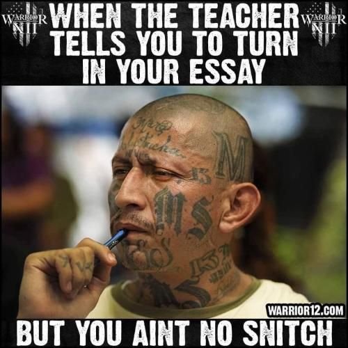 321692699_966006921026907_1657109655257936509_n