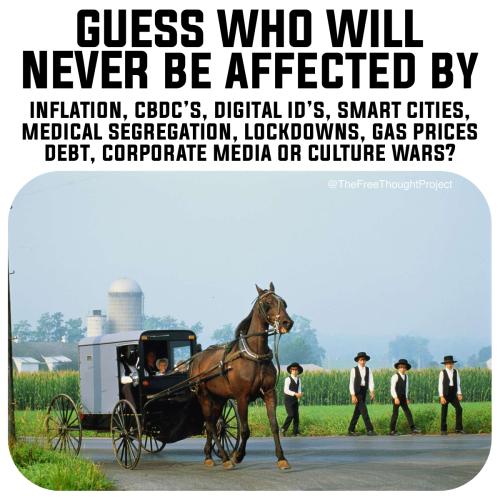 The solution was in front of us the entire time - parallel societies