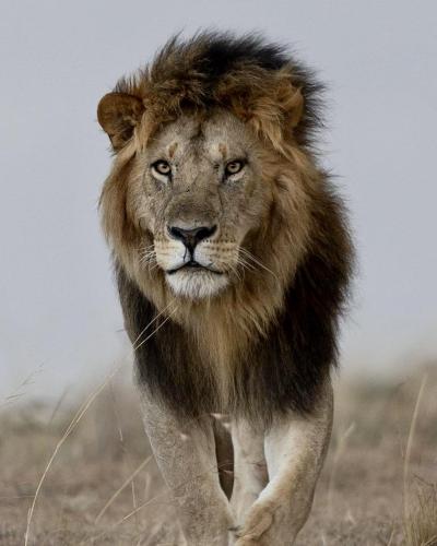 317376376_5745533542174322_5504276235679841311_n