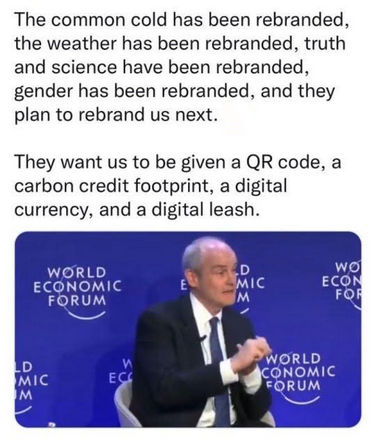 world economic forum23