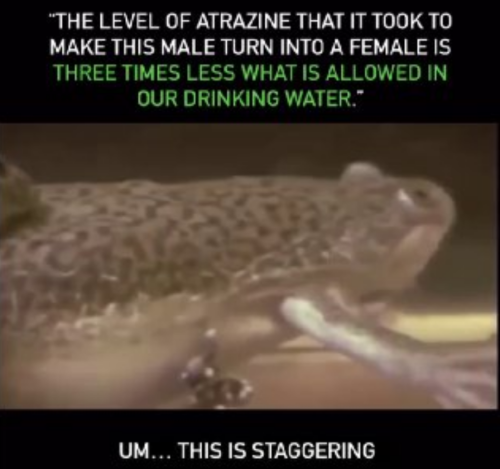 Screenshot_2022-12-23-22-42-08_kindlephoto-107132481