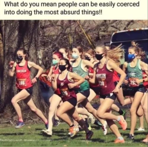 Screenshot_20221211_100845_Facebook