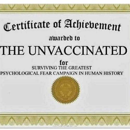 IMG_20221211_214543_927