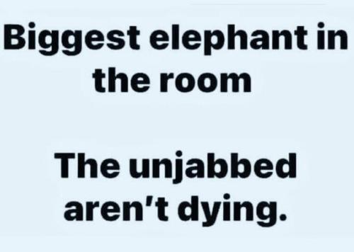 1f1f1c93-6349-4fd7-942e-ffc8c07280bd