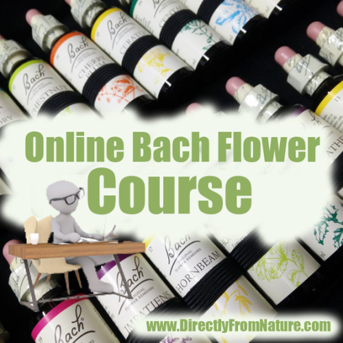 Bach Flower Course with desk 5x5x100