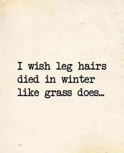 FB_IMG_1669611719964