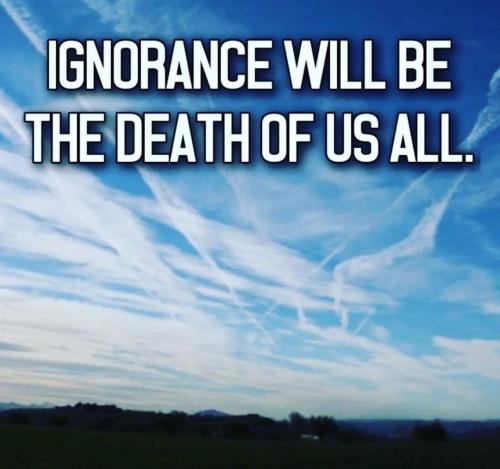 Screenshot_2022-12-06-11-49-23-16_1c337646f29875672b5a61192b9010f9