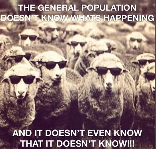 Screenshot_2022-12-06-11-50-19-15_1c337646f29875672b5a61192b9010f9