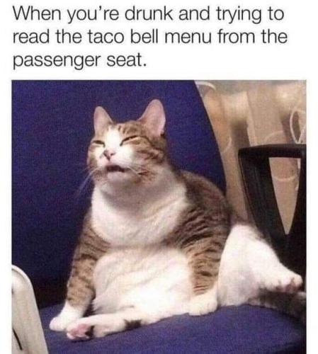 FB_IMG_1670353003072