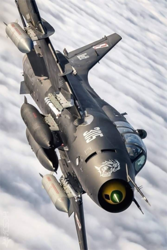 323288587_878606963336037_7021154842800177780_n