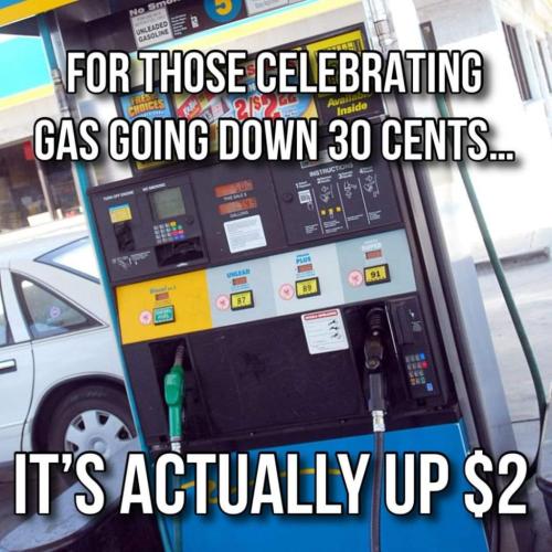 1390d1b7d3d8bb50c82377e280a8861e_1024