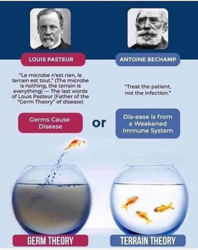 Screenshot_2022-12-22-12-09-10-78_1c337646f29875672b5a61192b9010f9