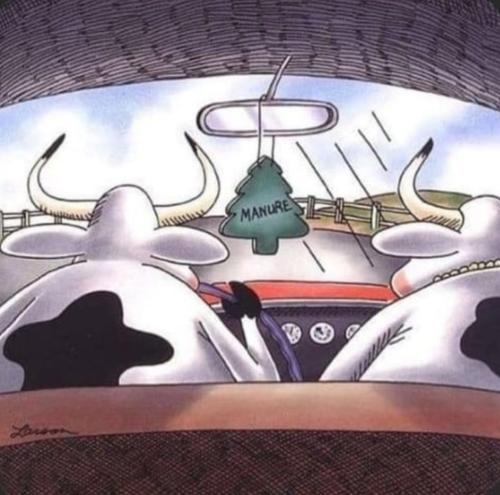 Screenshot_20221218-170328_MeWe