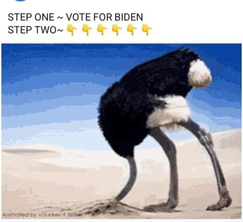 FB_IMG_1672414812176