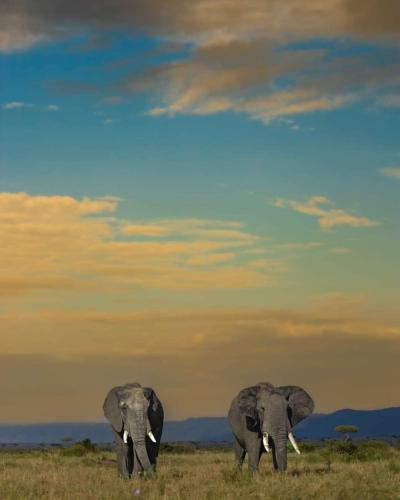 312814960_970825170518031_6457086985326090958_n