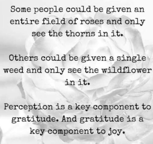 tumblr_0a94d96bda6dce69547425d8d7096ee2_9b44fbc0_540